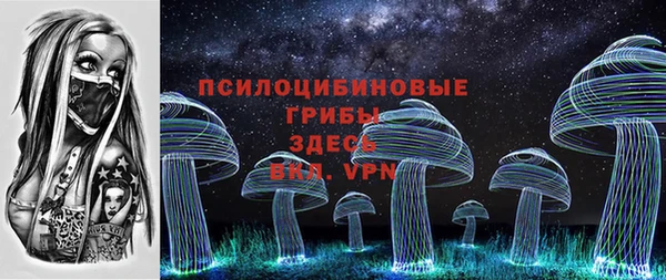 дмт Данков