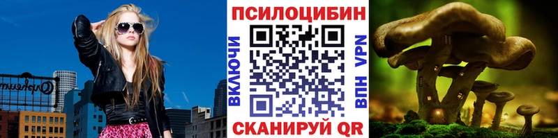 Псилоцибиновые грибы Cubensis Звенигово